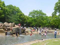 平塚総合12