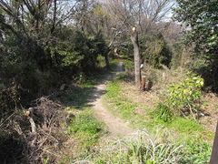 祇園山5