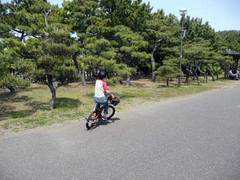 辻堂海浜15
