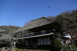 1S3A6090