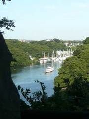 油壺11