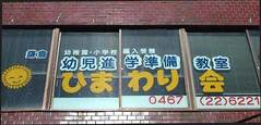 ひまわり会8