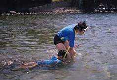水辺の学校2