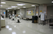tamanawa2
