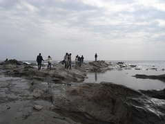 江の島9