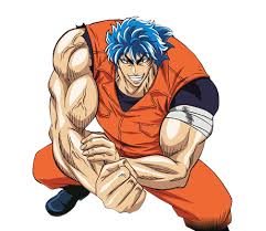 toriko