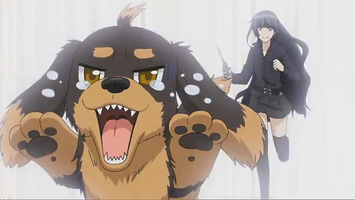 inutohasami