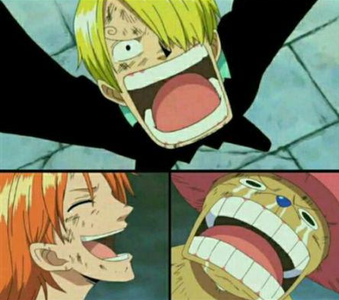 sanji_nami_choppa-