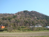 6228645c.JPG
