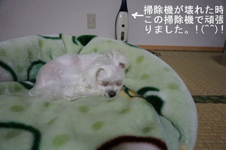 BlogPaint