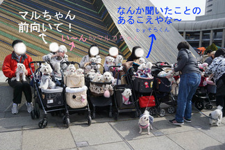 BlogPaint