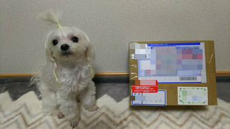 BlogPaint