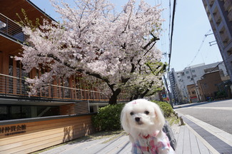 DSC04000