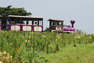 DSC04148