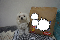 BlogPaint