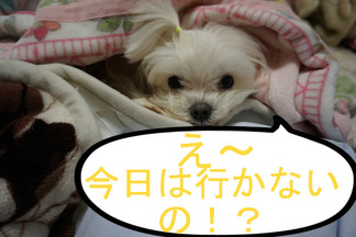BlogPaint
