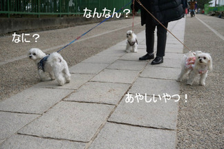 BlogPaint