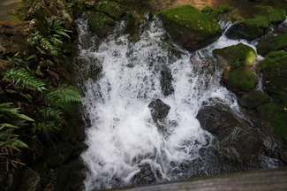 DSC03139