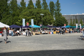 DSC04175