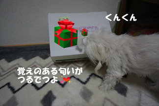 BlogPaint