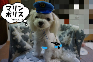 BlogPaint
