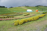 DSC04143
