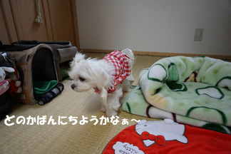 BlogPaint