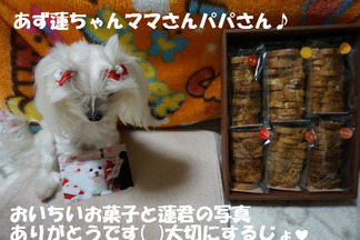 BlogPaint