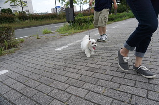 DSC04166