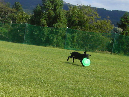 2010-09-26-07