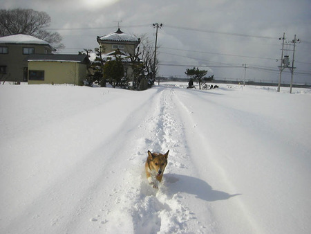 2011-01-29-03