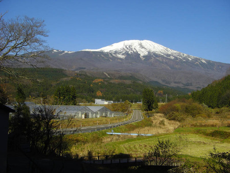 2010-11-21-05