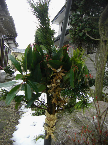 2010-12-30-02