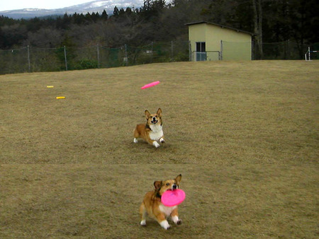 2011-04-10-02