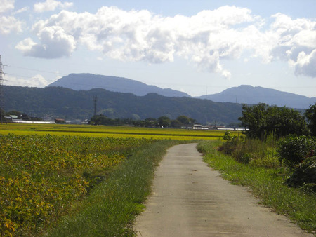 2010-09-26-02