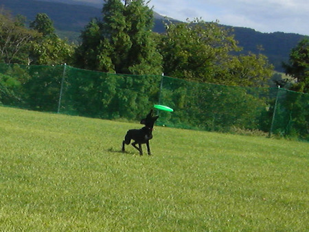 2010-09-26-06