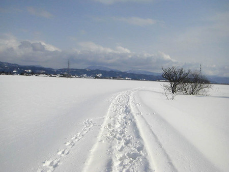 2011-01-29-02