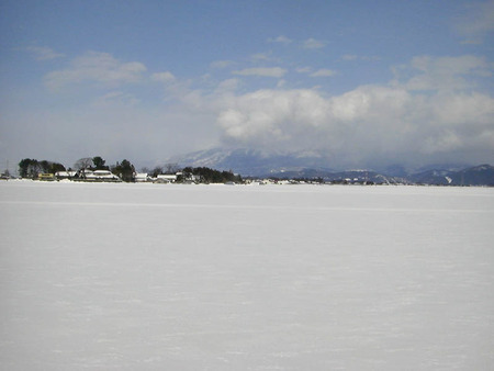 2011-01-29-01
