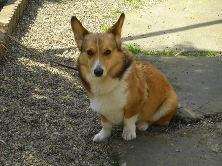 2011-04-10-04