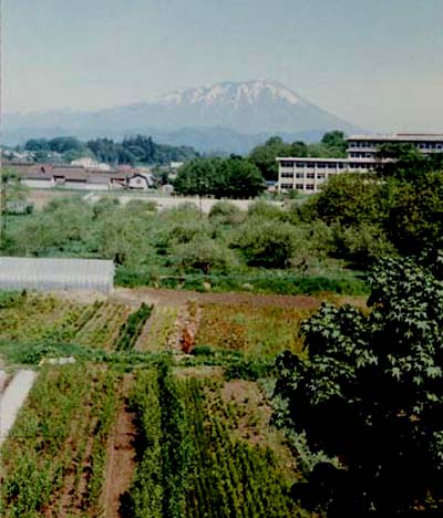 1973-05
