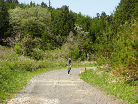 2010-04-05