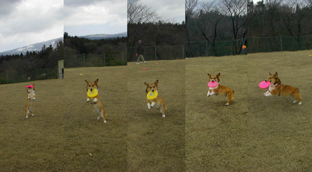 2011-04-10-03
