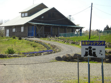 2010-04-04