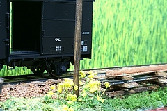 s-DSC00536_NEW