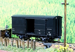 s-DSC00535_NEW