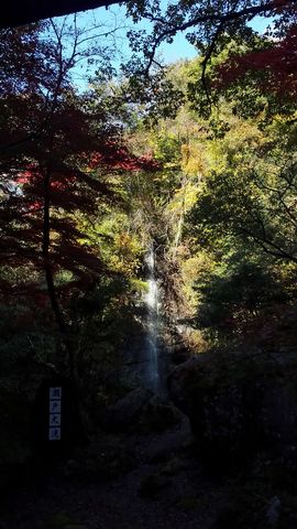 20181107_134050_LLS