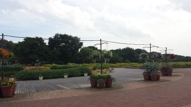 20180627_151953