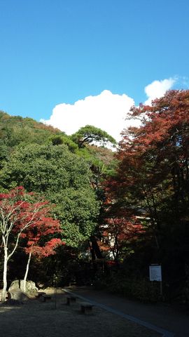 20181107_140334