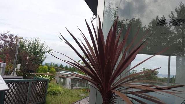 20180627_151203