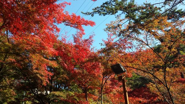 20181107_132128
